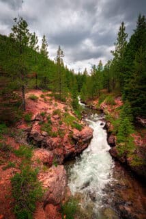Raging water flows through red rock and pine trees